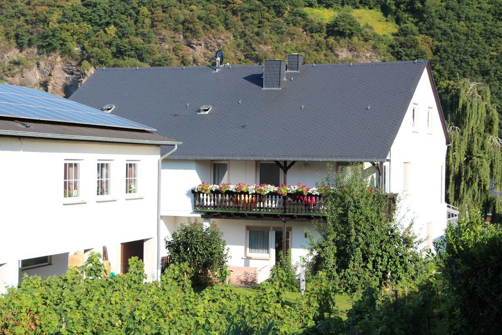 فندق Weinfelderhof Kröv المظهر الخارجي الصورة
